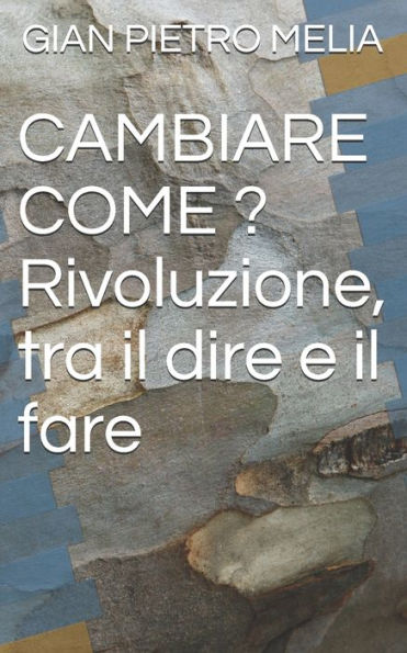 CAMBIARE COME ? Rivoluzione, tra il dire e il fare (Italian Edition)