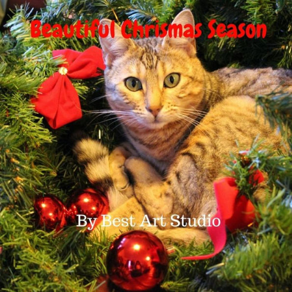 Beautiful Christmas Season