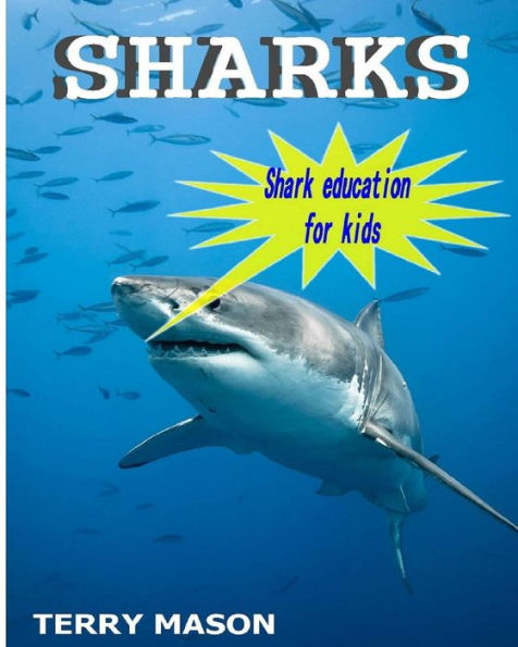 Sharks : Amazing Pictures And Facts About These Cool Creatures In The Sea