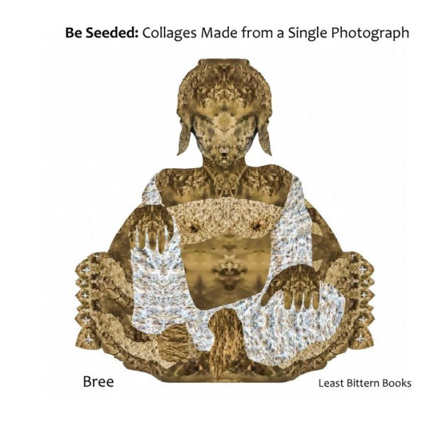 Be Seeded: Collages Made from a Single Photograph