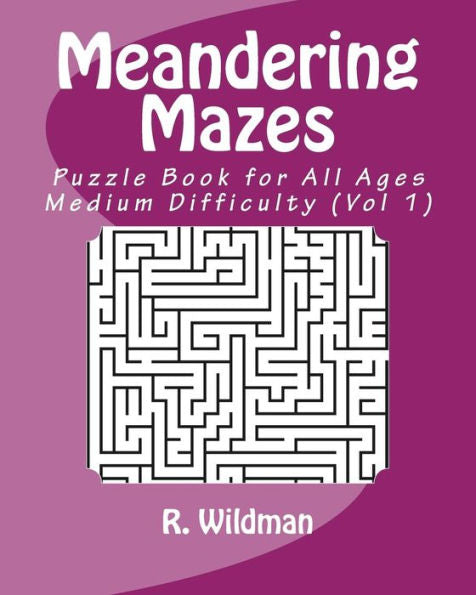 Meandering Mazes : Puzzle Books For All Ages - Medium Difficulty