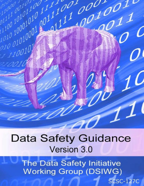 Data Safety Guidance v3.0