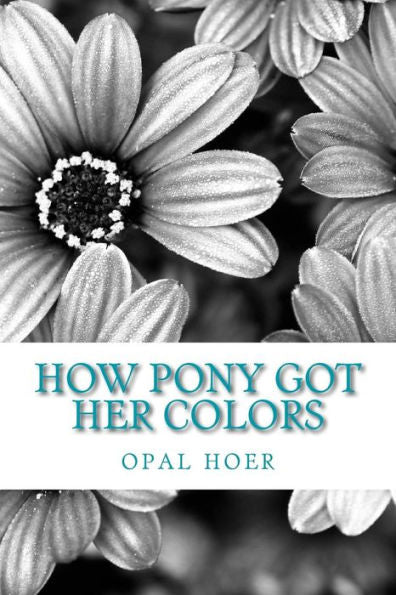 how pony got her colors