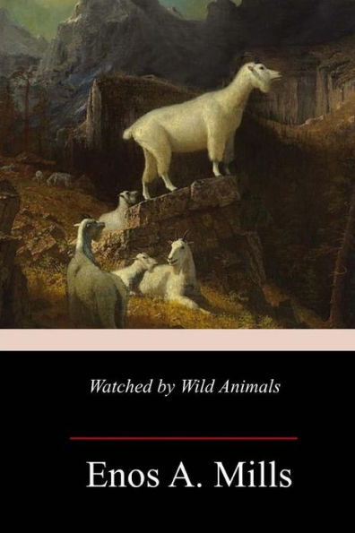 Watched By Wild Animals