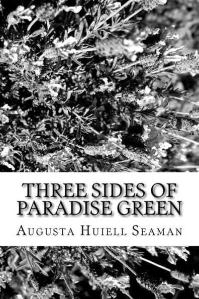 Three Sides Of Paradise Green - 9781982085308