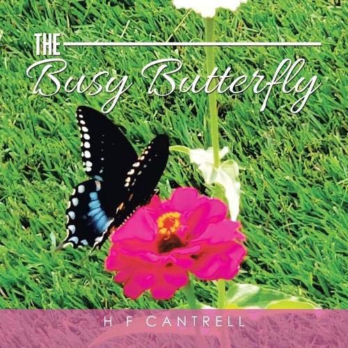 The Busy Butterfly