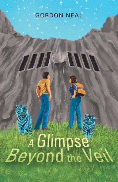 Un vistazo más allá del velo