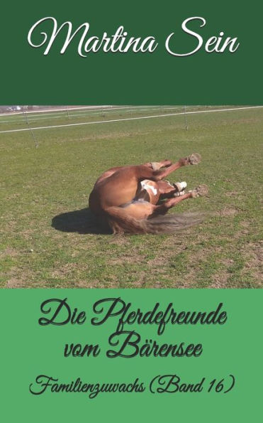 Die Pferdefreunde vom B?rensee: Familienzuwachs (German Edition)