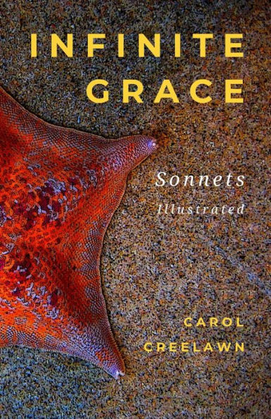 Infinite Grace: Sonnets, Illustrated