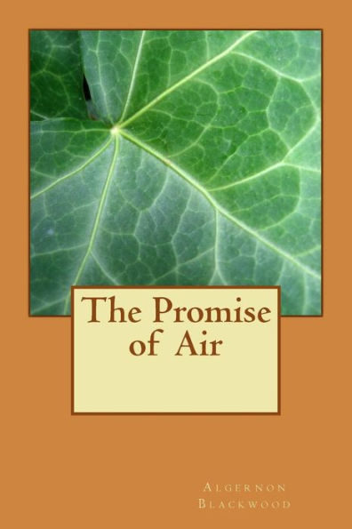The Promise Of Air - 9781983602764