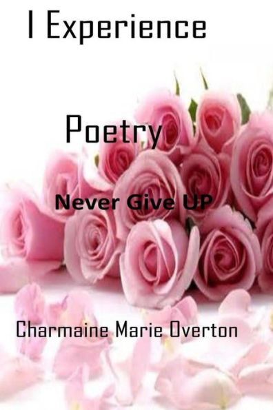 I Experience Poetry: Never Give UP