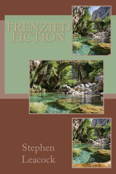 Frenzied Fiction - 9781983776199