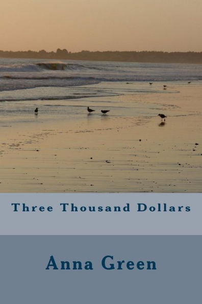 Three Thousand Dollars - 9781983830754