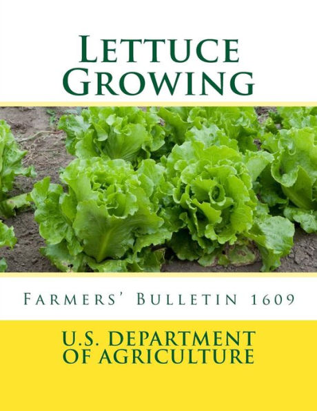 Lettuce Growing : Farmers' Bulletin 1609