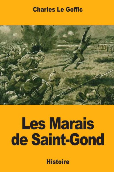 Les Marais De Saint-Gond