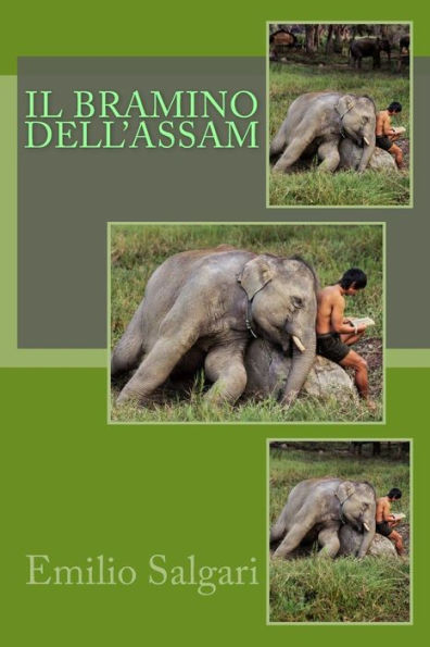 Il Bramino dell'Assam (Italian Edition)