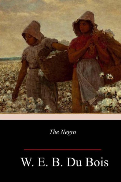 The Negro - 9781984261687
