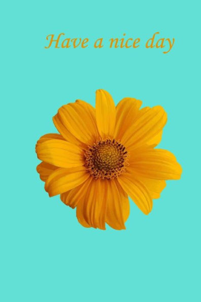 Have a nice day - 9781984320827