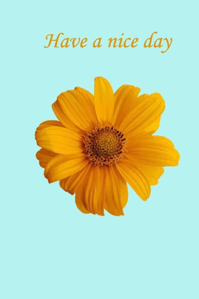Have a nice day - 9781984321701