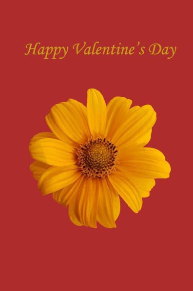 Happy Valentine's Day - 9781984927491