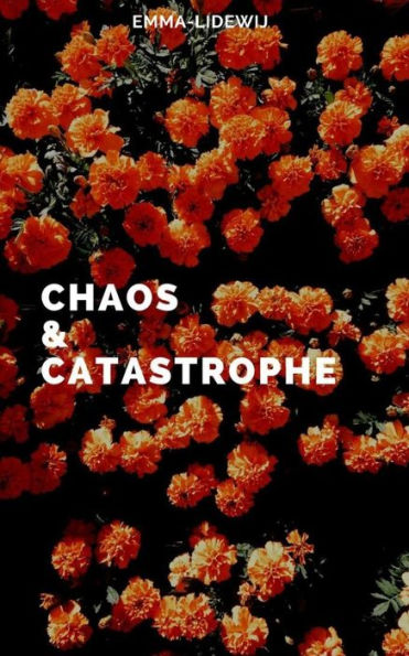 Caos y catástrofe