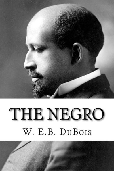 The Negro - 9781985041233