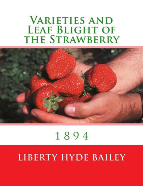 Varieties And Leaf Blight Of The Strawberry : 1894