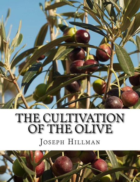 The Cultivation Of The Olive : A Short Treatise With Special Reference To Fertilization
