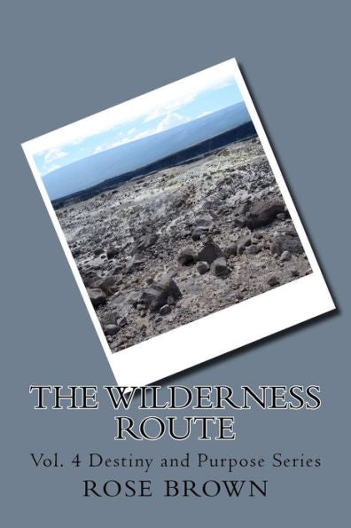 The Wilderness Route : Vol. 4 Destiny And Purpose Series