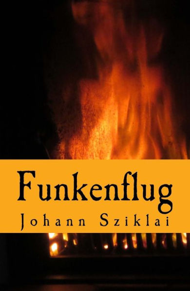 Funkenflug (German Edition)