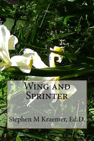 Wing And Sprinter