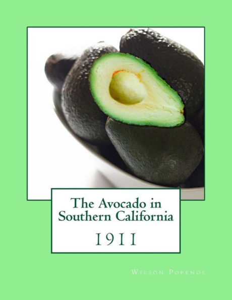 The Avocado In Southern California : 1911