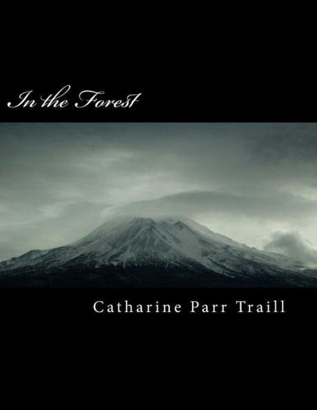 In the Forest - 9781985567290