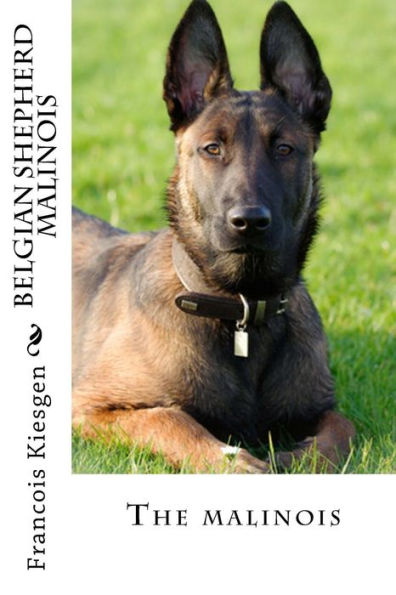 belgian shepherd malinois (Every Dog)