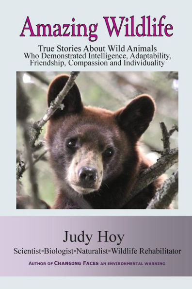 Amazing Wildlife: Amazing Wildlife: True Stories About Wild Animals Who Demonstrated Intelligence, Adaptability, Friendship, Compassion and Individuality