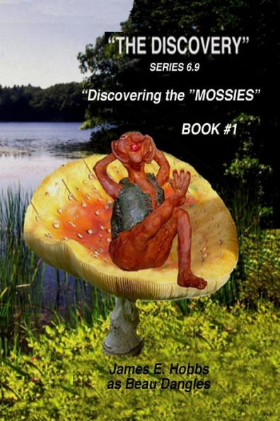 The Discovery - 9781986475310