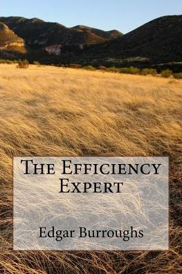 The Efficiency Expert - 9781986591386