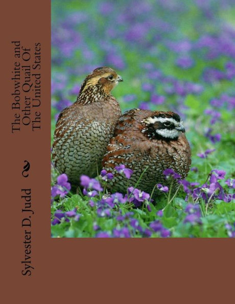 The Bobwhite And Other Quail Of The United States