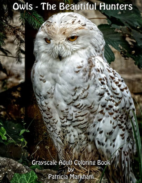 Owls - The Beautiful Hunters : Grayscale Adult Coloring Book