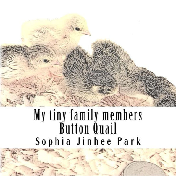My Tiny Family Members : Button Quail
