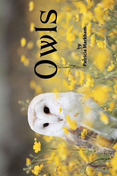 Owls : Grayscale Adult Coloring Book - Travel Size