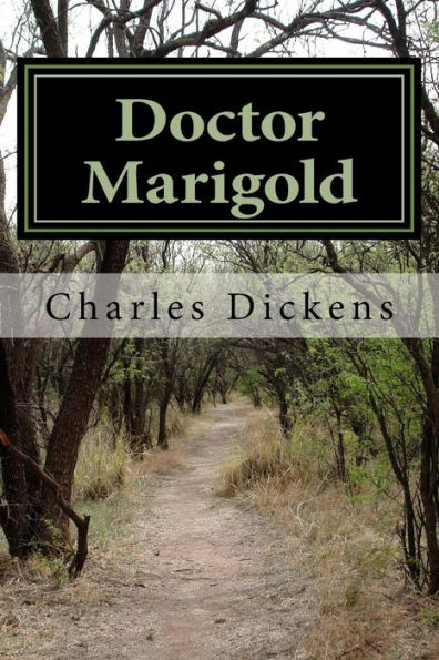 Doctor Marigold - 9781986695589