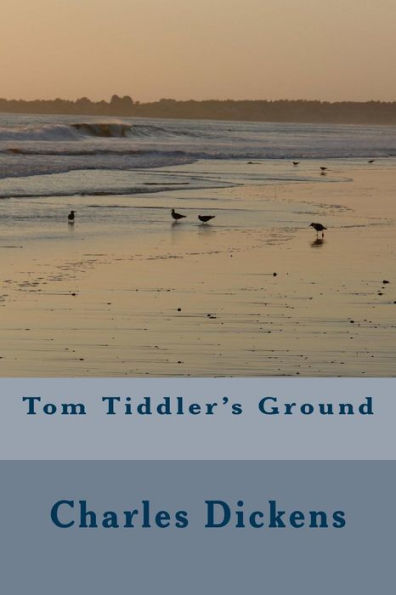 Tom Tiddler's Ground - 9781986705097