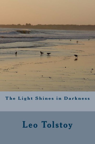 The Light Shines In Darkness - 9781986730389