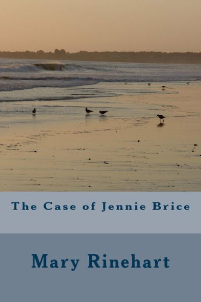 The Case Of Jennie Brice - 9781986768221
