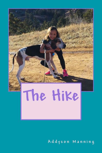 The Hike - 9781986875226