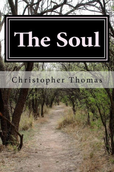 The Soul - 9781986916882