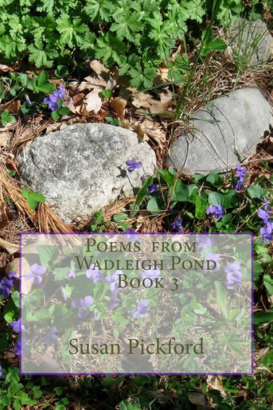 Poems From Wadleigh Pond