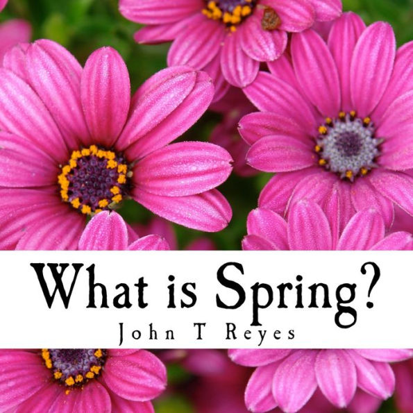 What Is Spring? - 9781987648997