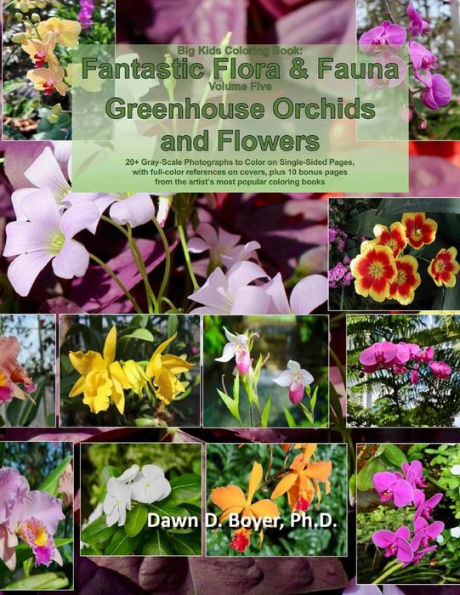 Big Kids Coloring Book: Fantastic Flora and Fauna: Volume Five - Greenhouse Orchids and Flowers (Big Kids Coloring Books)